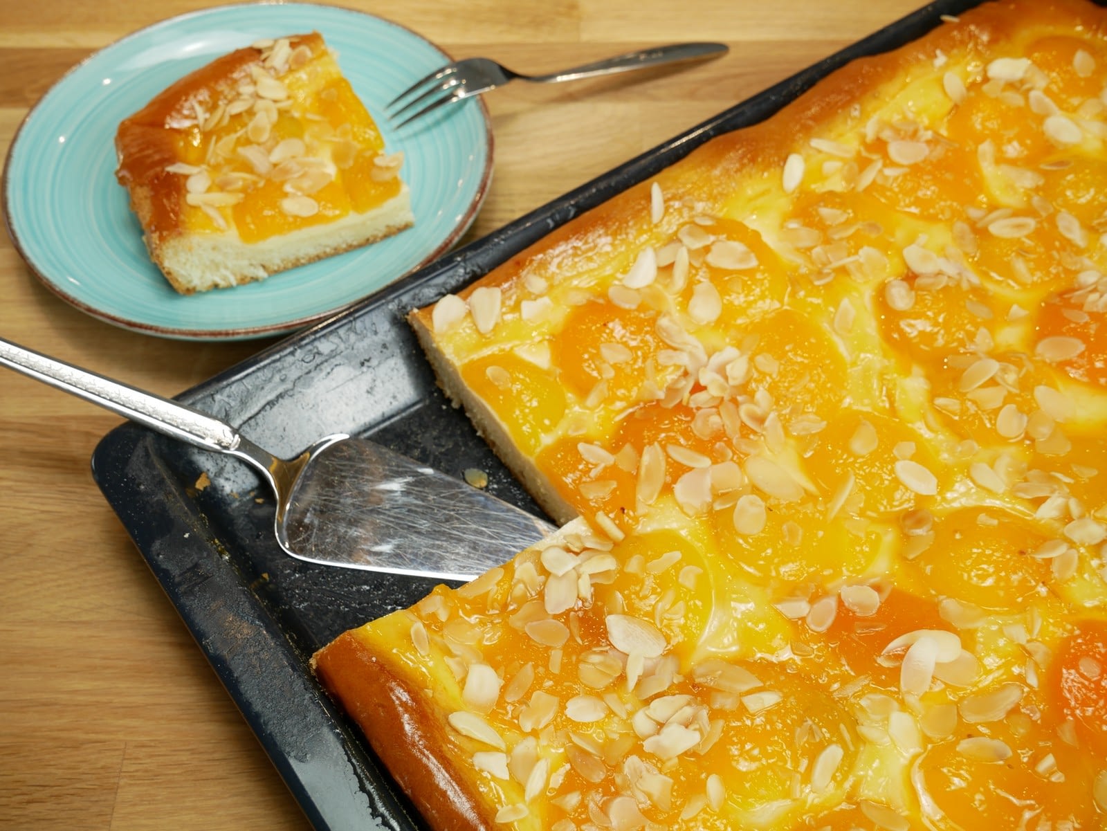 Aprikosenkuchen vom Blech » kochschwabe.de